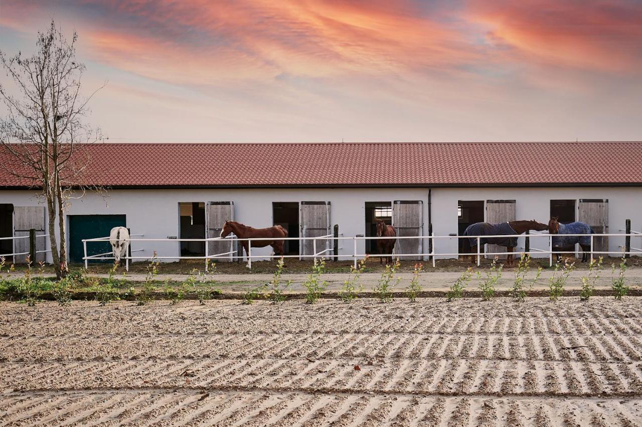 Brussa Horse Oasi Villa Каорле Екстериор снимка