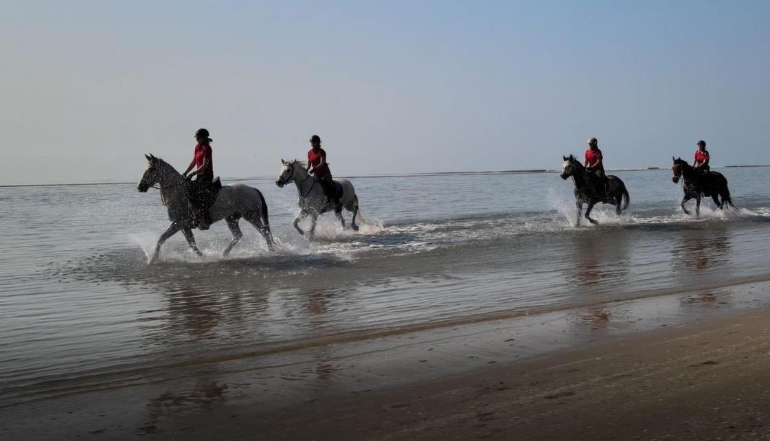 Brussa Horse Oasi Villa Каорле Екстериор снимка
