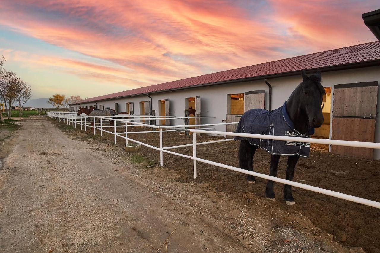 Brussa Horse Oasi Villa Каорле Екстериор снимка