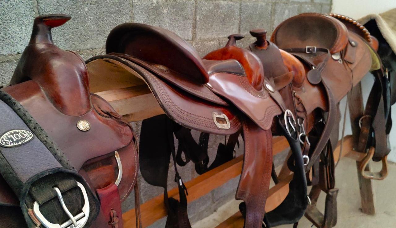 Brussa Horse Oasi Villa Каорле Екстериор снимка
